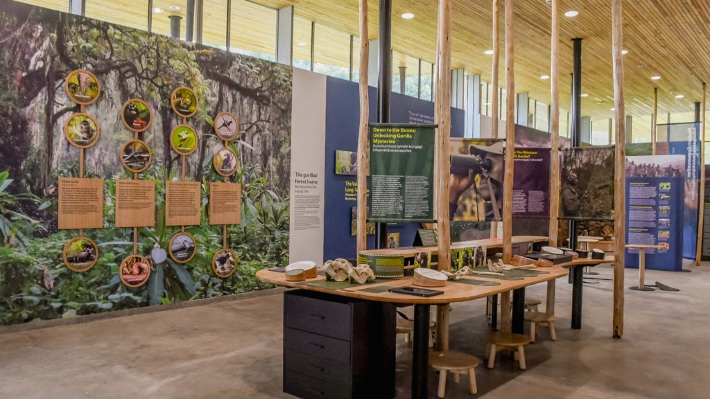 Dian Fossey Gorillas Fund