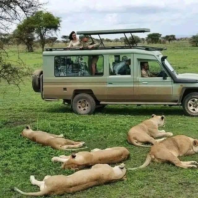 The Ultimate East Africa Experience