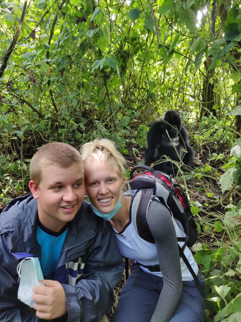 Mountain Gorillas Trekking (Rwanda)