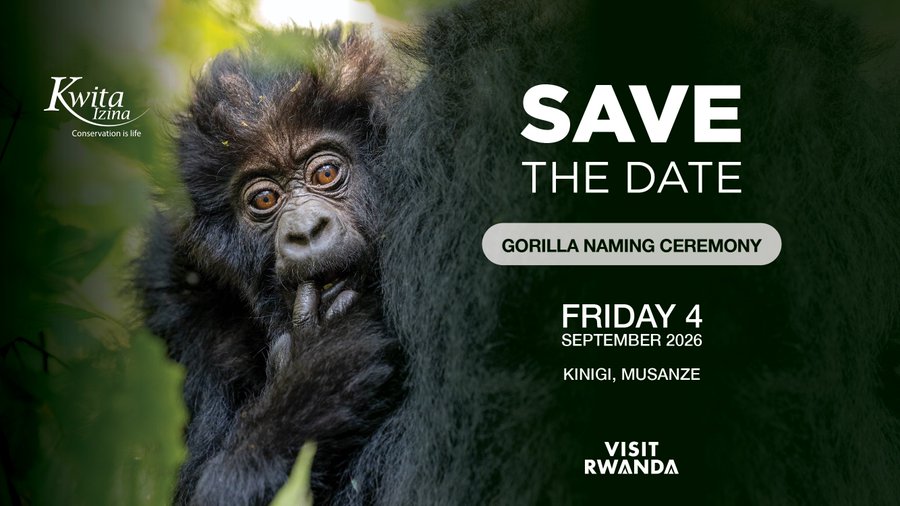 New PostKwita Izina 2026: Rwanda Prepares to Welcome 22 New Gorillas to the Family
